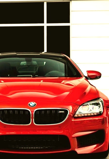 Red BMW GrillLIVE LAVISH APPAREL NOW AVAILABLE